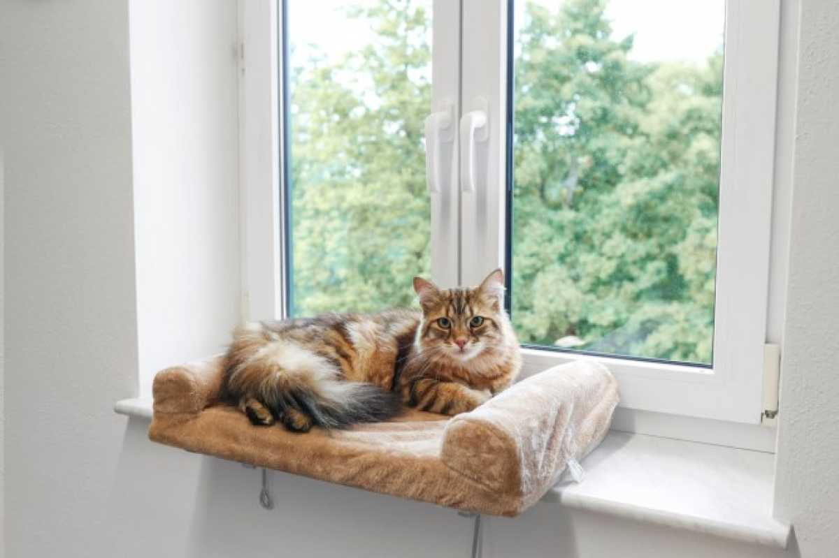 Kerbl Fensterliegebrett - Katzenbett für das Fensterbrett